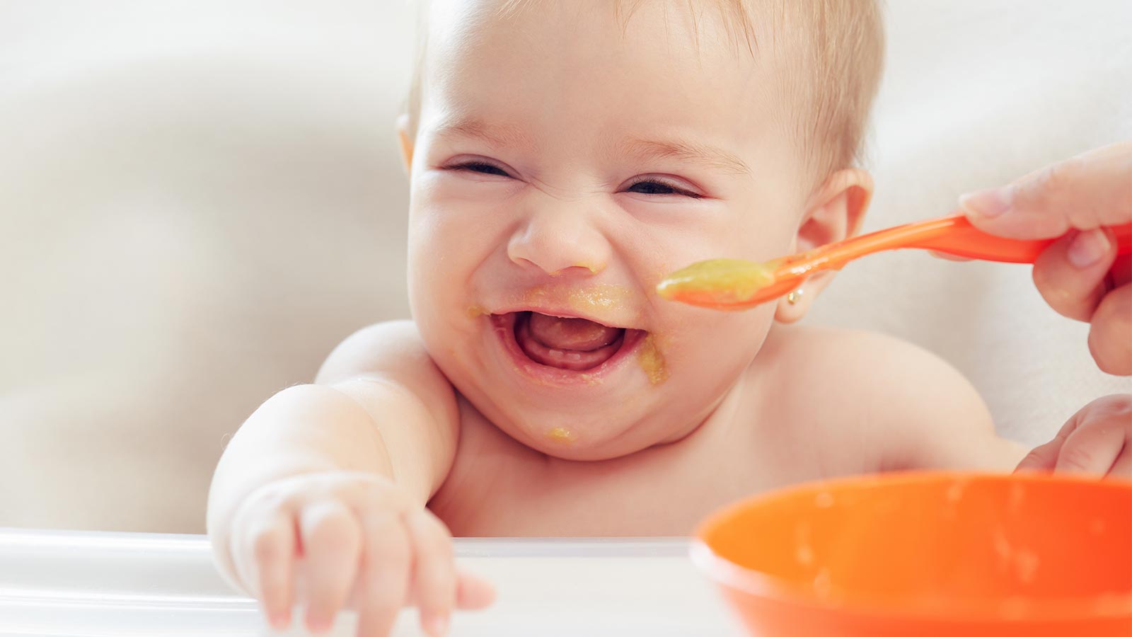 Comparamos 15 papillas para bebé